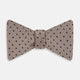 Navy and Taupe Micro Dot Silk Bow Tie