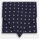 White Dot and Navy Silk Cravat