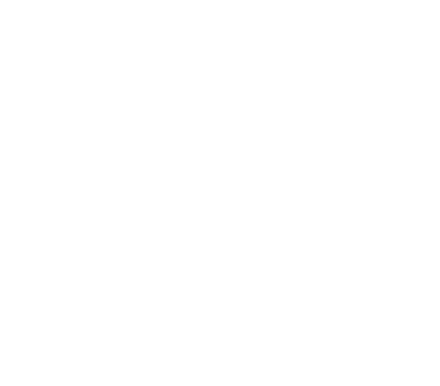 Image of a shirt