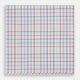 Hand Rolled Multi Graph Check Handkerchief