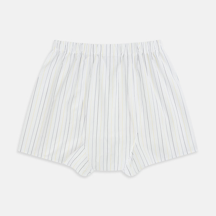 Yellow and Blue Double Stripe Godfrey Boxer Shorts Image 1