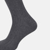 Ash Long Socks