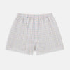 Rainbow Check Godfrey Boxer Shorts