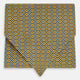 TIES ASCOTS MICRO SQUARED PRINTED SILK BANANA OS