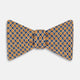 Amber and Blue Rosette Medallion Printed Silk Bow Tie OS