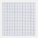 Hand Rolled Blue Grid Check Handkerchief