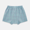 Pale Blue And Green  Multi Check Godfrey Boxer Shorts