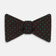 Blue and Brown Micro Dot Silk Bow Tie