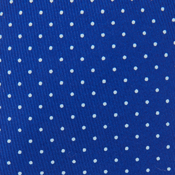 Royal Blue and White Small Spot Printed Silk Tie Image 2