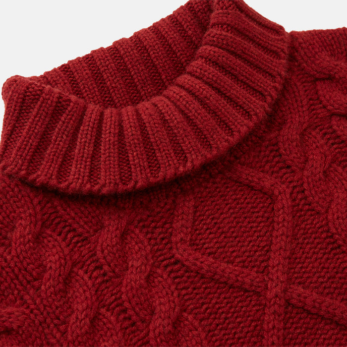 Russet Cashmere Roll Neck Clark Jumper Image 1