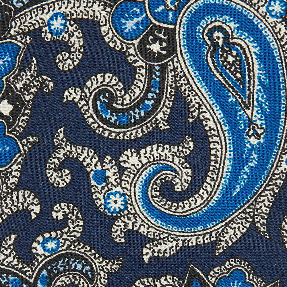 Blue and Navy Twisted Paisley Silk Tie