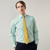 Green Fine Stripe Regular Fit Shirt with T&A Collar