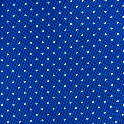 Long Blue and White Small Spot Printed Silk Tie Image 2
