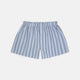 Grey, Turquoise and Sky Blue Mixed Stripe Cotton Boxer Shorts