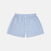 Blue and Green Windowpane Check Cotton Boxer Shorts